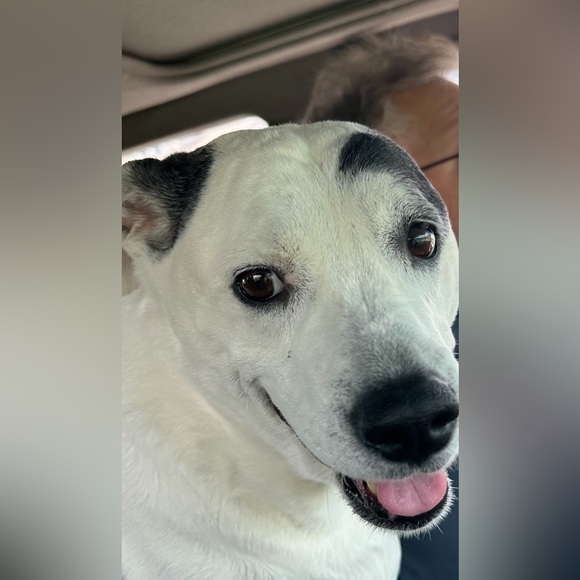 Meet your Posher, Karen - Picture 5 of 17